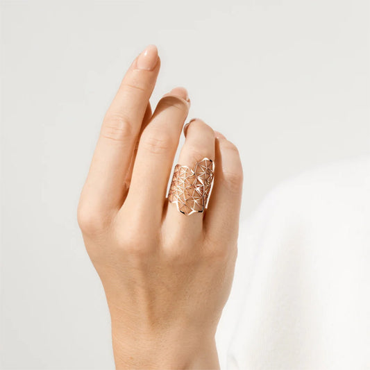 Topia Vision Ring Embrace von Niessing (N381011-29.9mm-rw)