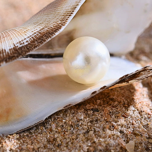 Echte Perlen - Schätze, die das Meer uns schenkt