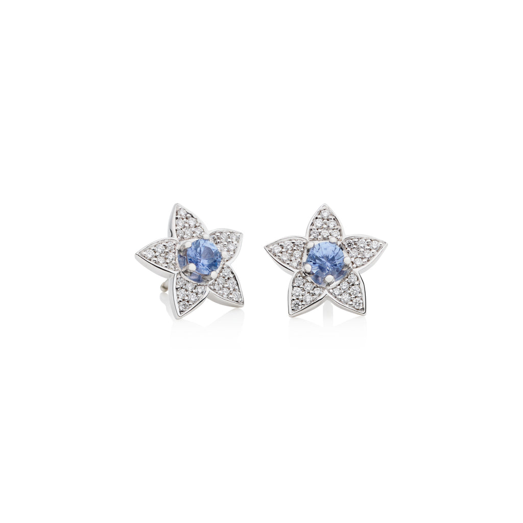 Bron Poppy Ohrschmuck (8OW4903CSBR) aus Weißgold mit Diamant und Saphir