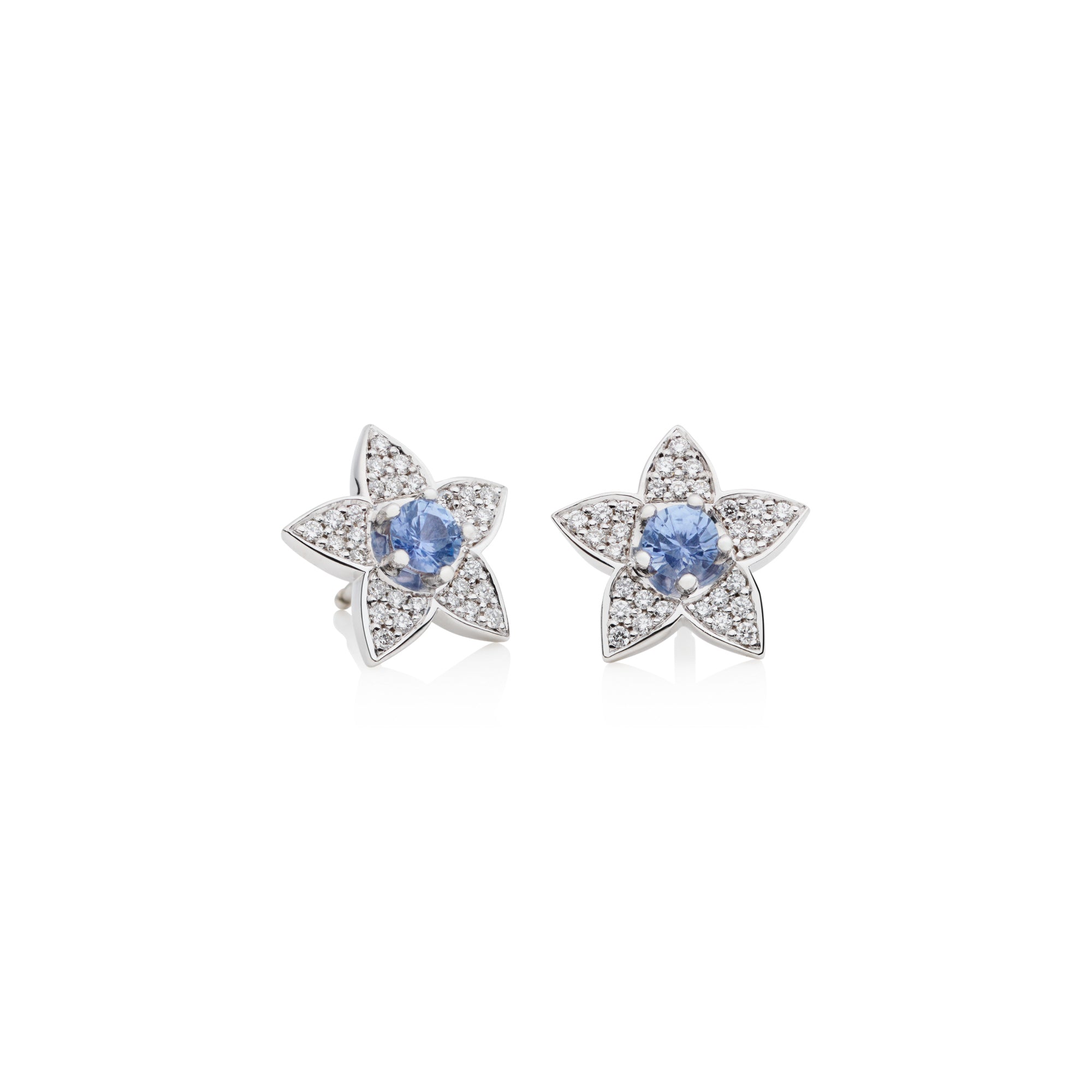 Bron Poppy Ohrschmuck (8OW4903CSBR) aus Weißgold mit Diamant und Saphir