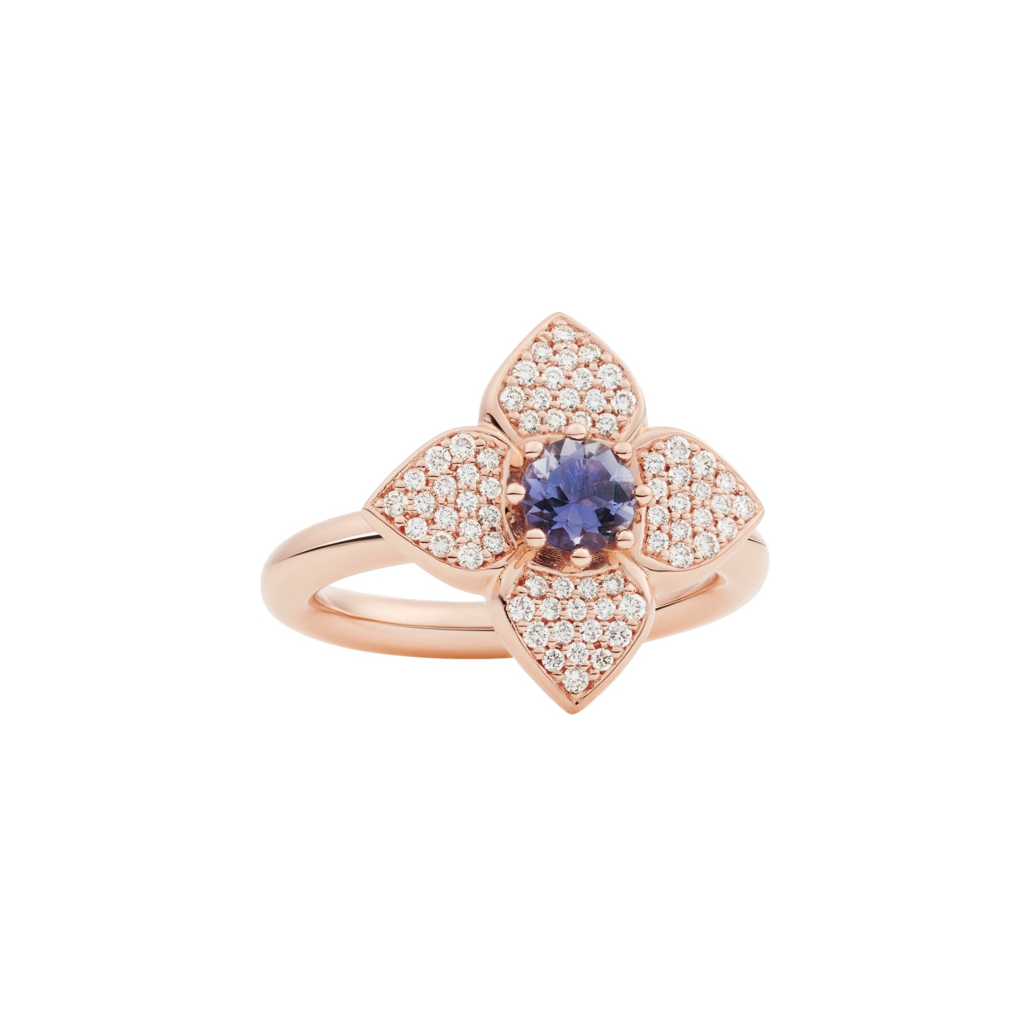 Bron Poppy Ring (8RR4919IOBR) aus Roségold mit Diamant und Iolith