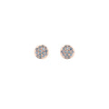 Bron Stardust Ohrschmuck (8OR4815NK) aus Roségold mit Saphir