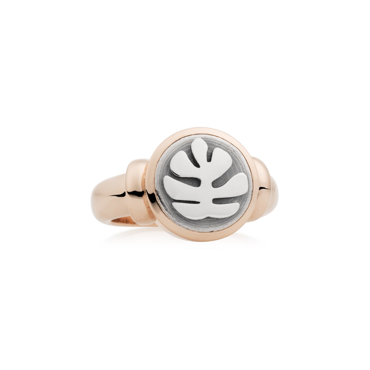 Toujours Ajour Ring, Weißgold von Bron (8RR487601)