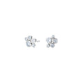 Capolavoro Ohrstecker Prosecco (OS8BRW00995-M) aus Weißgold mit Diamant