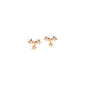 Capolavoro Ohrstecker Starlet (OS9BRW01036) aus Roségold mit Diamant