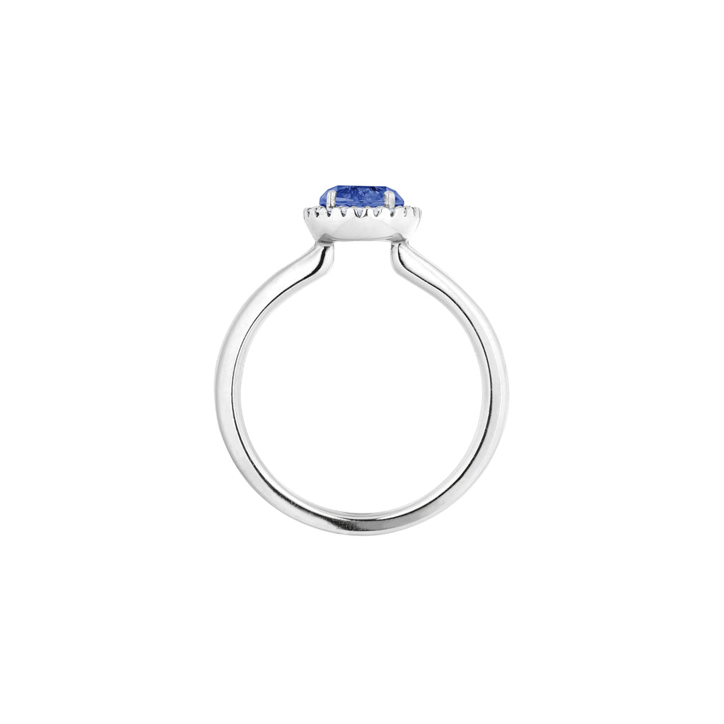 Capolavoro Ring Espressivo (RI8TAN02395-M) aus Weißgold mit Diamant und Tansanit