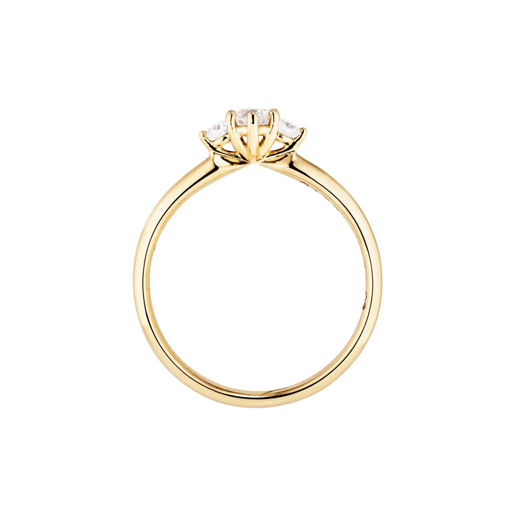 Capolavoro Ring Princess - RI7BRW02782.0.20TW (20TW-SI) aus Gelbgold mit Diamant