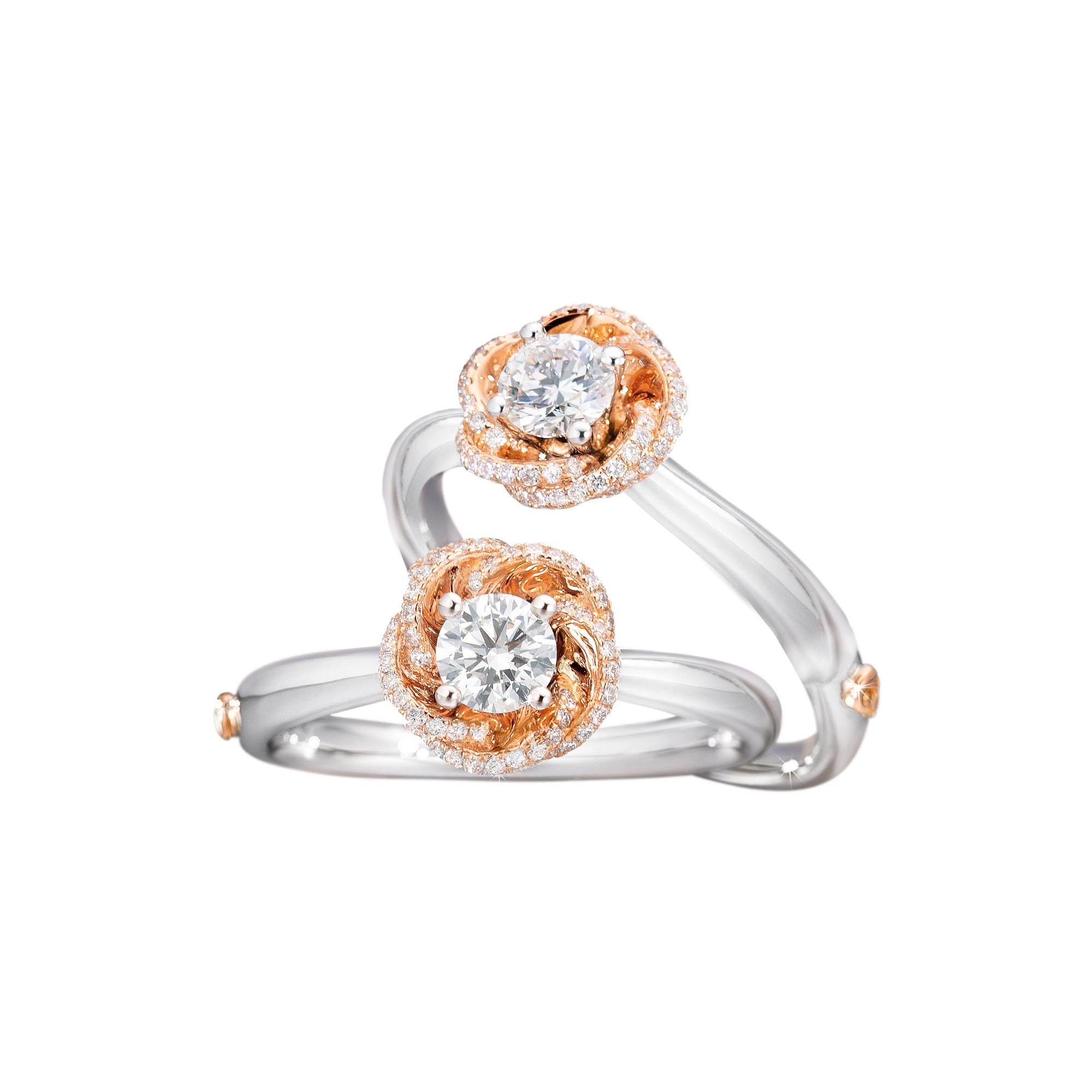 Capolavoro Ring Rose Dream - RI8BRW08011.0.33TW (33TW-VS-M) aus Weißgold mit Diamant