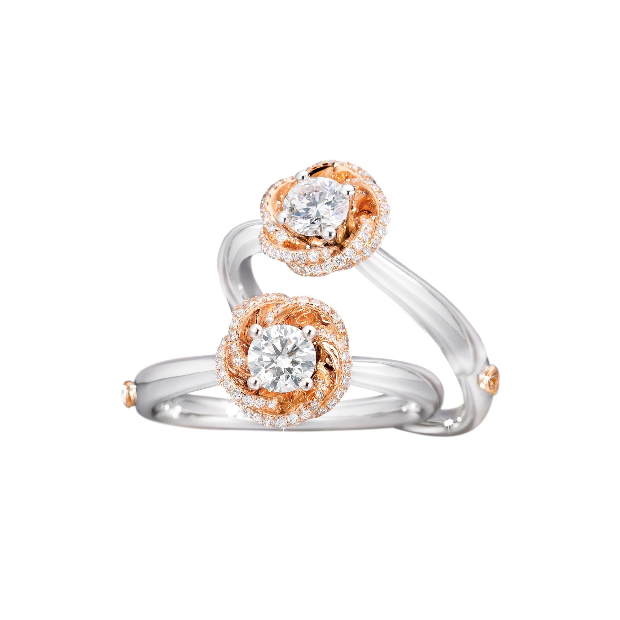 Capolavoro Ring Rose Dream - RI8BRW08011.0.33TW (33TW-VS-M) aus Weißgold mit Diamant