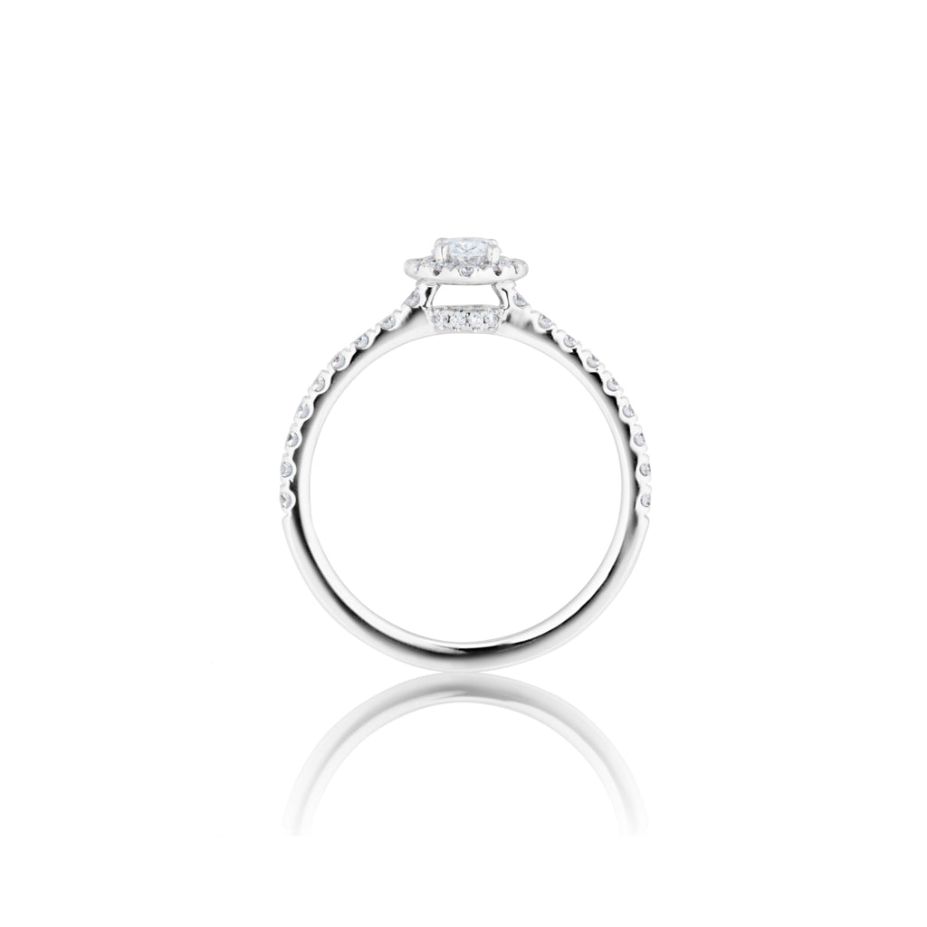 Capolavoro Ring Shades of Love - RI8BRW02749.0.30TW (30TW-SI-GIA) aus Weißgold mit Diamant