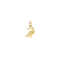 DoDo Anhänger Krokodil (DMC6017-CROCC-0009G) aus Gelbgold
