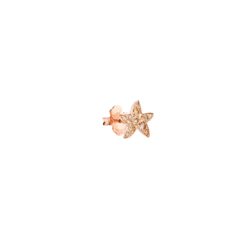 DoDo Ohrring Stellina mit Edelsteinen (DHB5001-STARS-DBR9R) aus Roségold mit Diamant