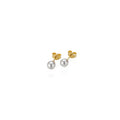 Gellner Basics Ohrstecker (5-22546-03) aus Gelbgold
