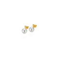 Gellner Basics Ohrstecker (5-22550-03) aus Gelbgold