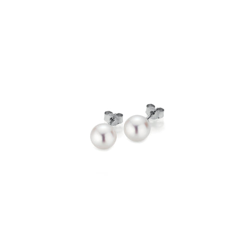 Gellner Basics Ohrstecker (5-22552-04) aus Weißgold