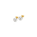 Gellner Basics Ohrstecker (5-22553-03) aus Gelbgold