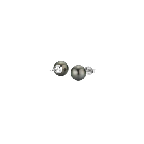 Gellner Basics Ohrstecker (5-23671-01) aus Weißgold