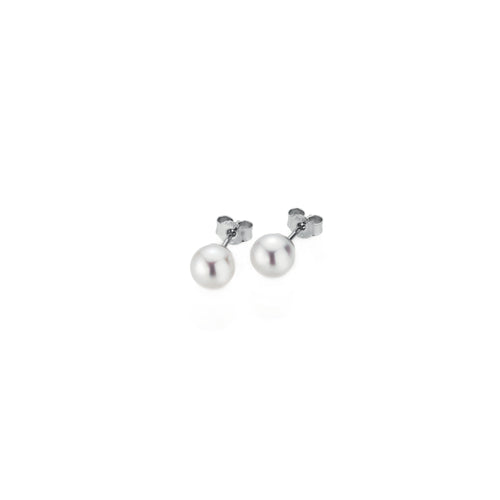 Gellner Basics Ohrstecker (5-23684-02) aus Weißgold