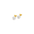 Gellner Basics Ohrstecker (5-23686-01) aus Gelbgold