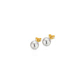 Gellner Basics Ohrstecker (5-23687-01) aus Gelbgold
