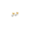 Gellner Basics Ohrstecker (5-23690-01) aus Gelbgold
