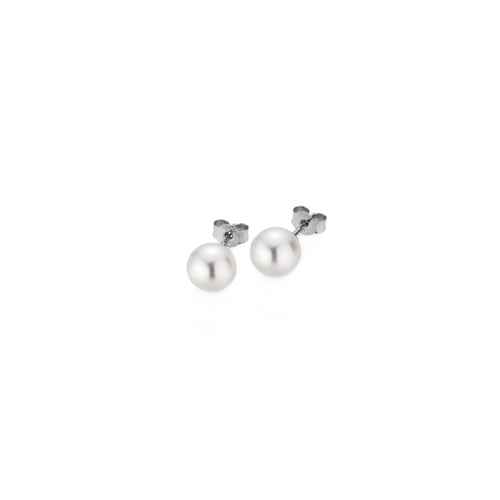 Gellner Basics Ohrstecker (5-23695-02) aus Weißgold
