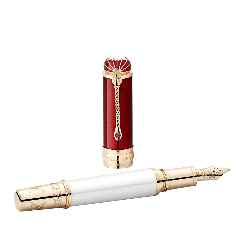 Montblanc Patron of Art Homage to Albert Limited Edition 4810 Füllfederhalter F (MB127849)