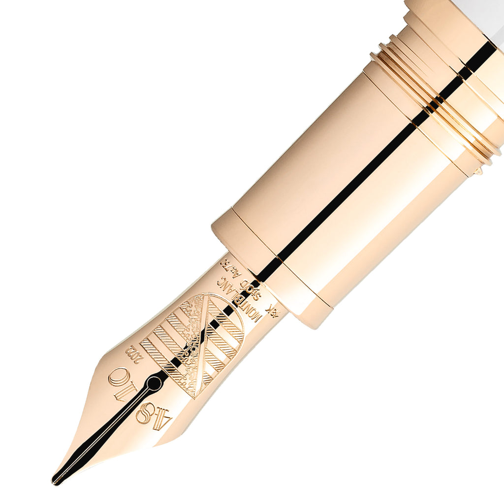 Montblanc Patron of Art Homage to Albert Limited Edition 4810 Füllfederhalter M (MB127850)