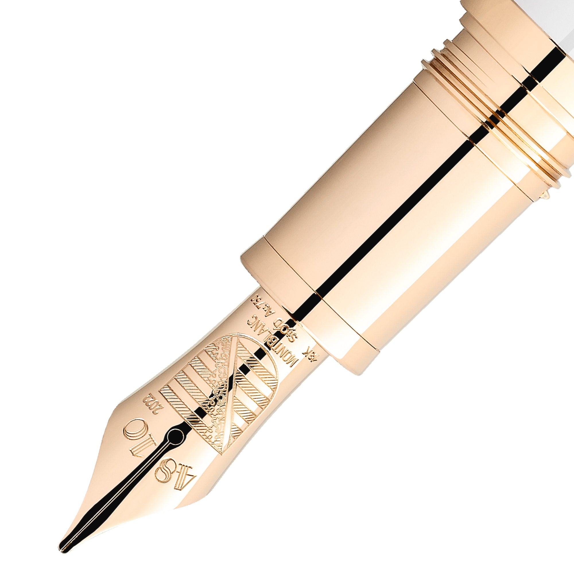 Montblanc Patron of Art Homage to Albert Limited Edition 4810 Füllfederhalter M (MB127850)