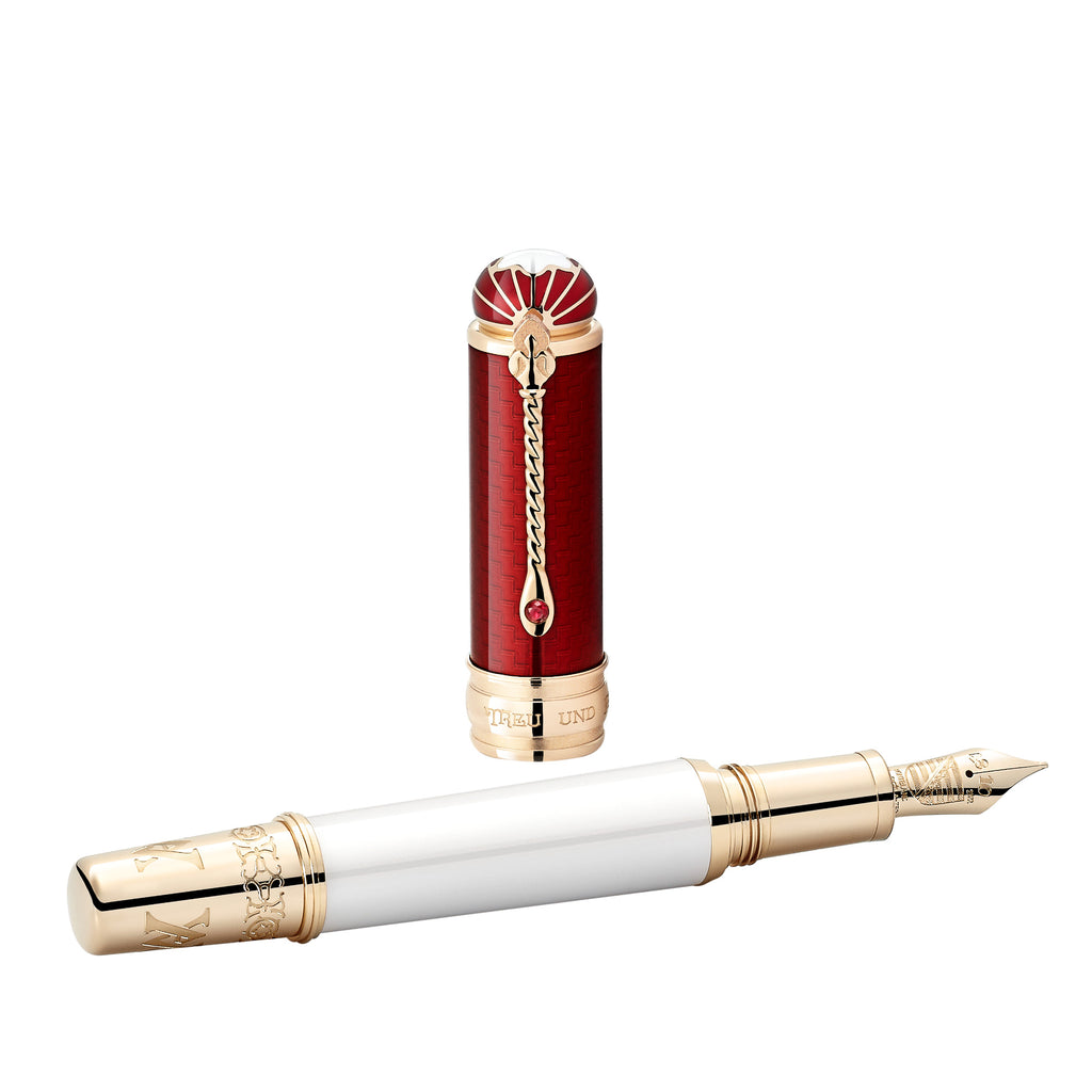 Montblanc Patron of Art Homage to Albert Limited Edition 4810 Füllfederhalter M (MB127850)