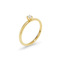 Niessing Amatis Fine C Ring - N381961-0.08ct (08ct-satin-cy) mit Diamant