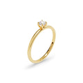 Niessing Amatis Fine C Ring - N381961-0.14ct (14ct-satin-cy) mit Diamant