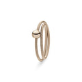 Niessing Colette Ring 2-fach (N281522-rw)