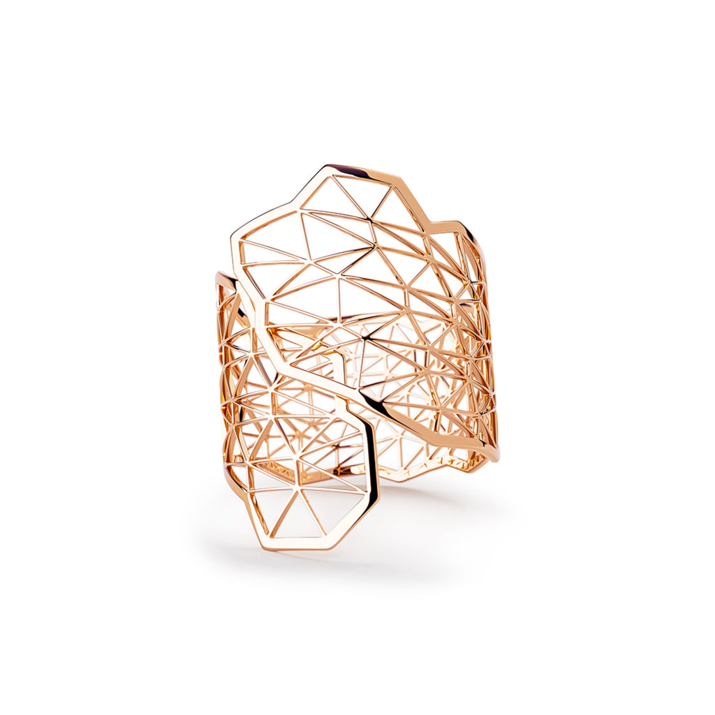 Niessing Topia Vision Ring Embrace - N381011-29.9mm (9mm-cr)