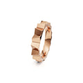 Niessing Vivida Z Ring (N411040-4mm-cr)