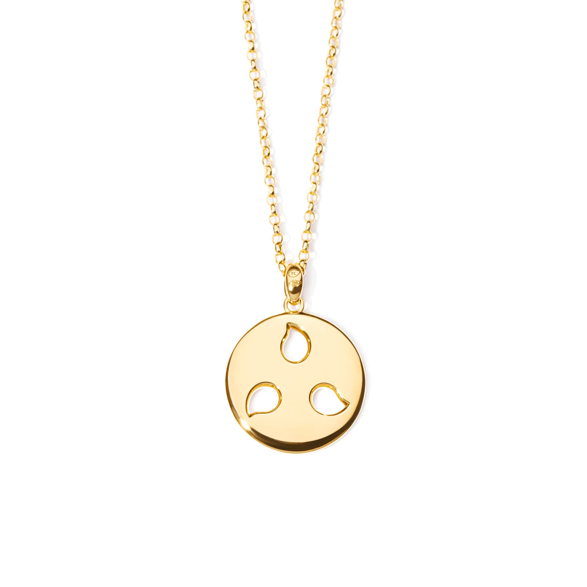 Tamara Comolli SAND DOLLAR Anhänger Large (P-SD-l-yg) aus Gelbgold mit Diamant, Rubin und Saphir