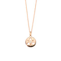 Tamara Comolli SAND DOLLAR Anhänger Small (P-SD-s-rg) aus Roségold mit Diamant